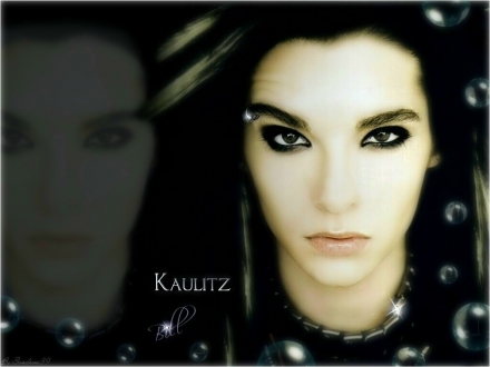 description rapide de bill
